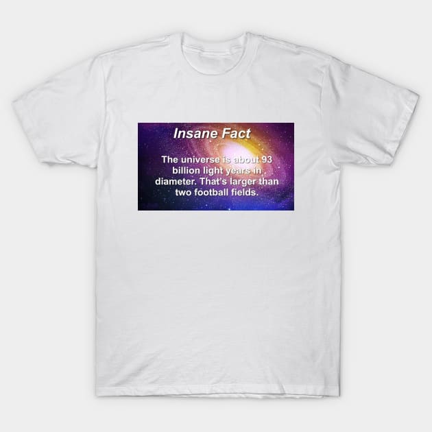 Insane Fact The Universe Is Larger Than Two Football Fields Sarcastic Dank Meme Quote Funny Meme T-Shirt T-Shirt by Hamza Froug